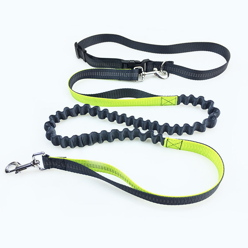 Dog Running Pull Leash