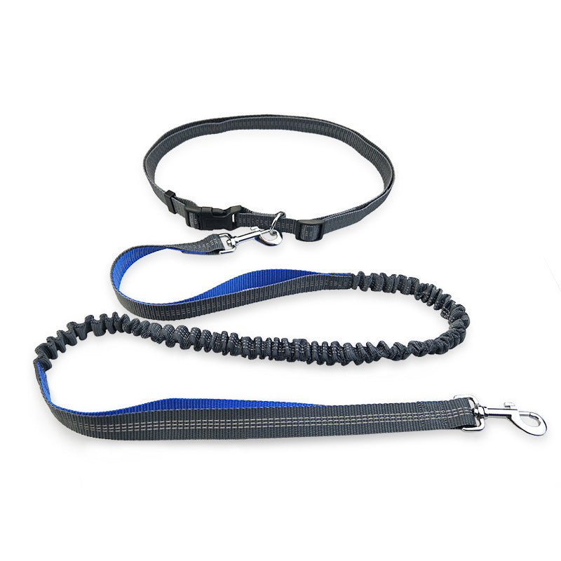 Dog Running Pull Leash