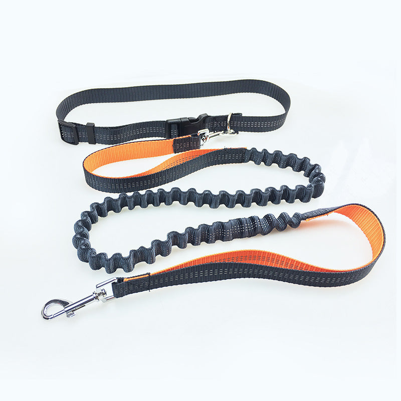 Dog Running Pull Leash