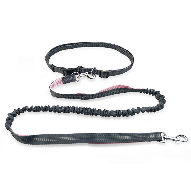 Dog Running Pull Leash