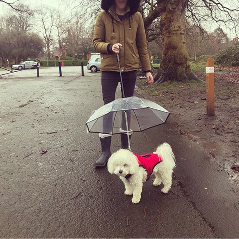 Transparent Dog Umbrella with Removable Traction Chain