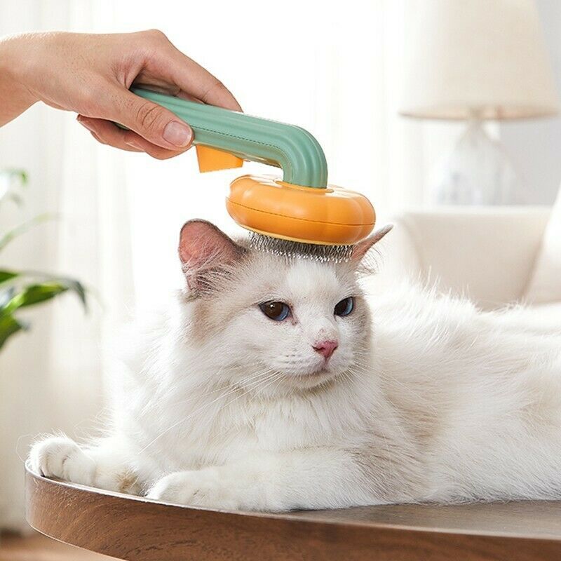 Pet Pumpkin Self-Cleaning Slicker Brush for Dogs