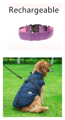 LED Adjustable Leopard Print Dog Collar