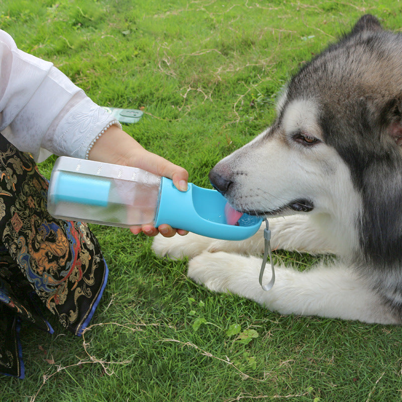 Pet Water Bottle