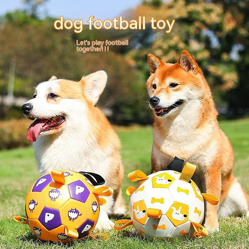 Interactive Soccer Ball Dog Toy