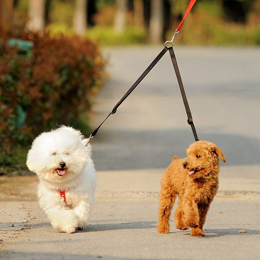 WALK 2 Dogs Leash Coupler