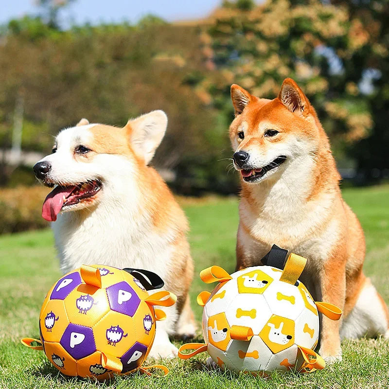 Interactive Soccer Ball Dog Toy