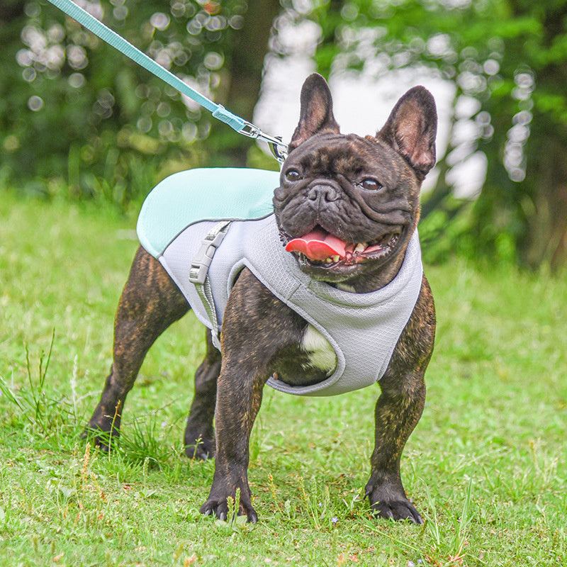 Summer Pet Outdoor Cooling Vest