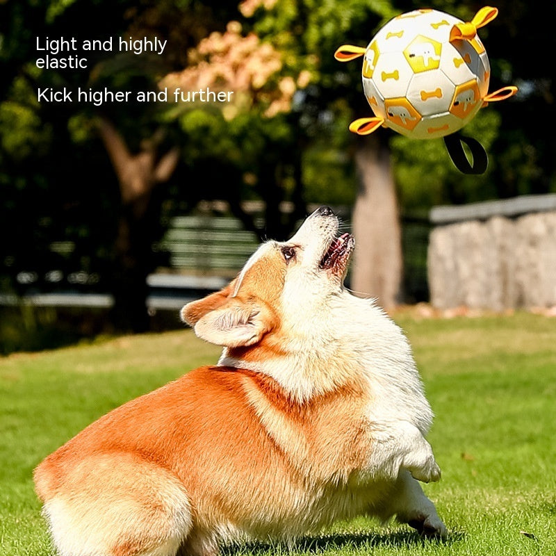 Interactive Soccer Ball Dog Toy