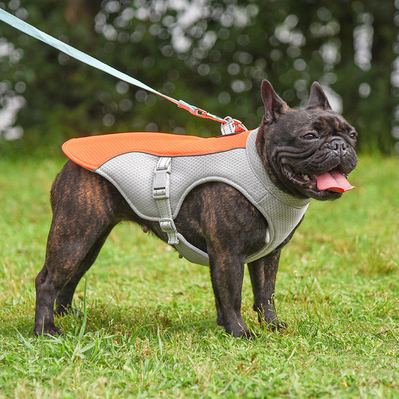 Summer Pet Outdoor Cooling Vest